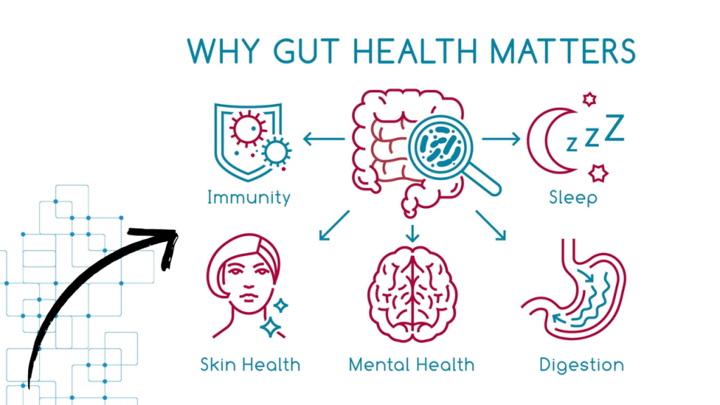 Why Gut Health Matters