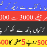 Assignment Work for Boys and Girls From Home in Pakistan 2025